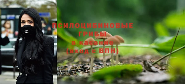 MESCALINE Гусь-Хрустальный