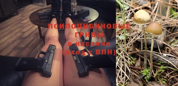 меф Горнозаводск