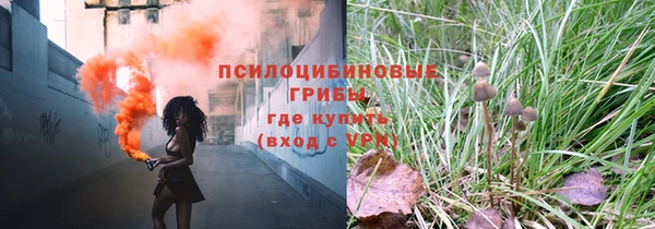 2c-b Горно-Алтайск